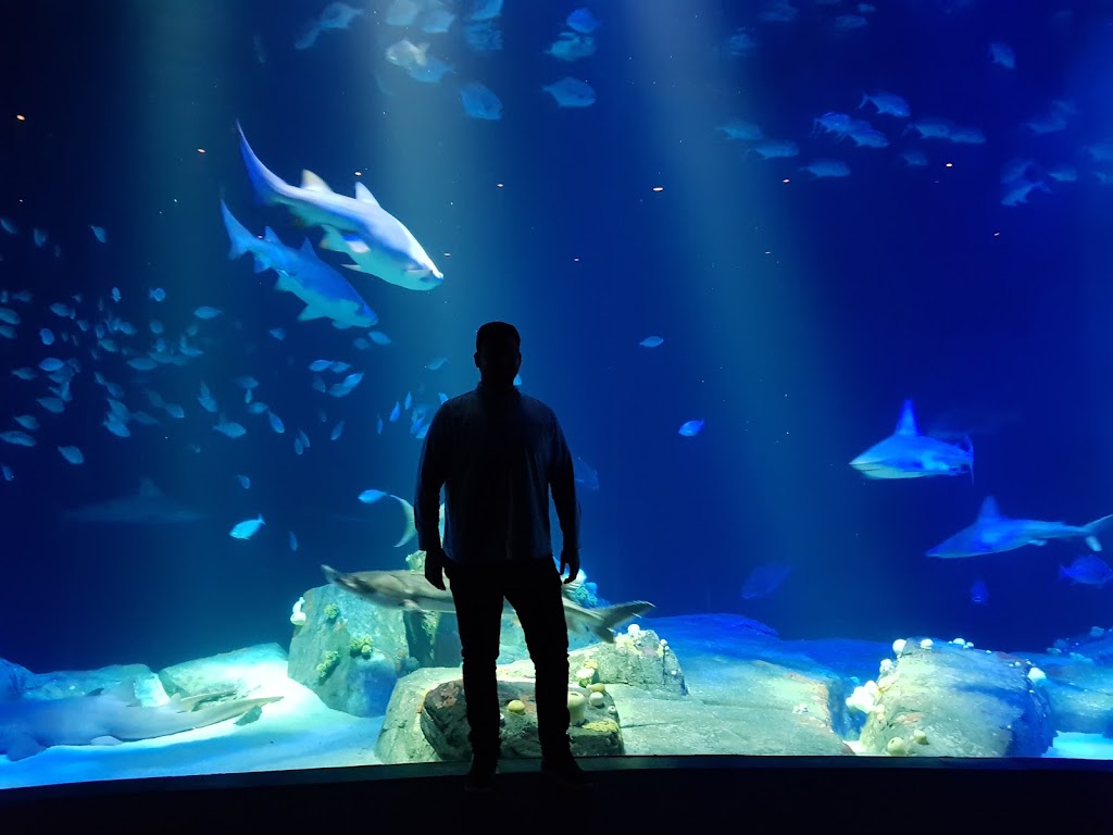 New York Aquarium | 602 Surf Ave, Brooklyn, NY 11224 | Phone: (718) 265-3474