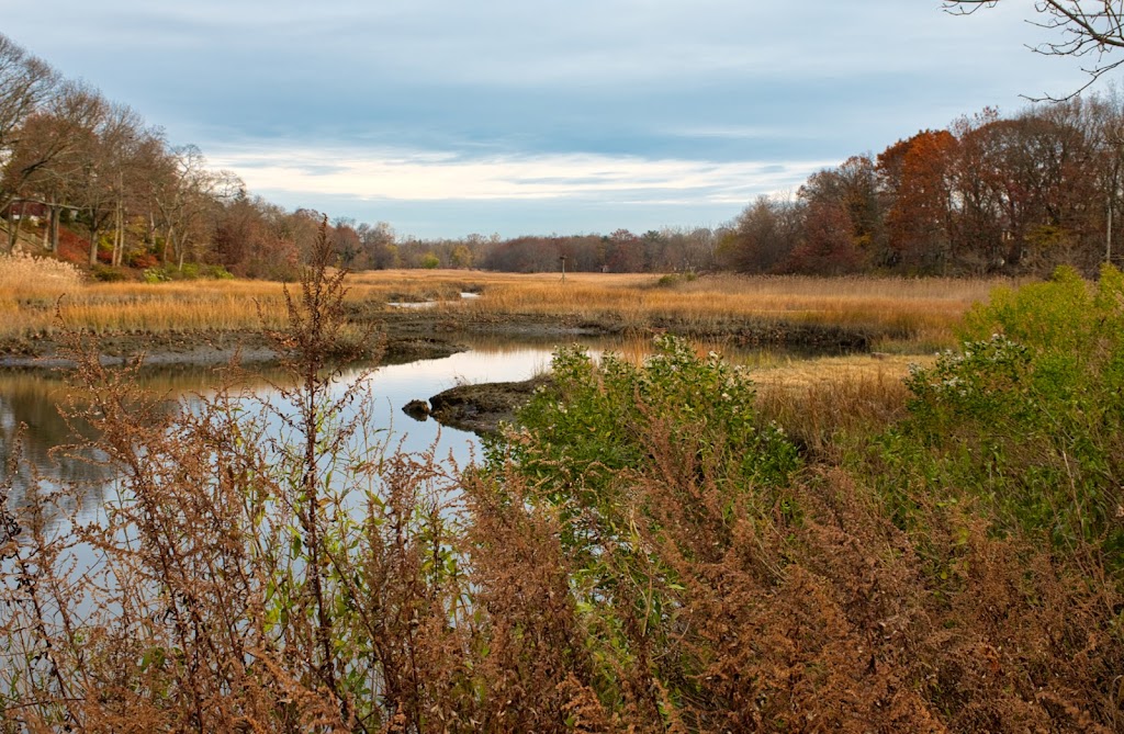 Otter Creek Preserve | Mamaroneck, NY 10543 | Phone: (914) 777-7784