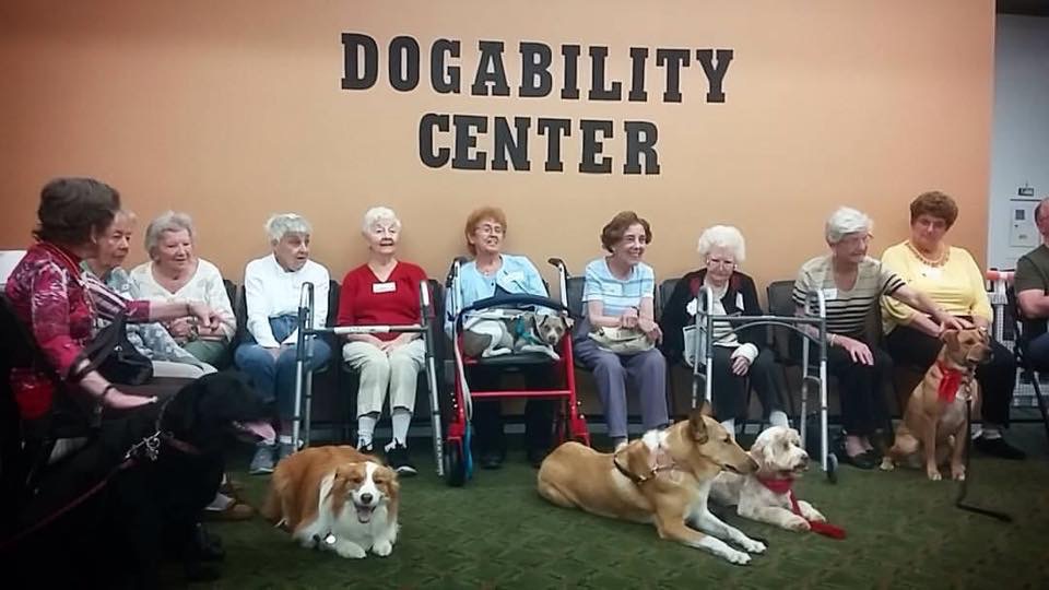 DogAbility | 95 Old Country Rd, Melville, NY 11747 | Phone: (516) 387-0066