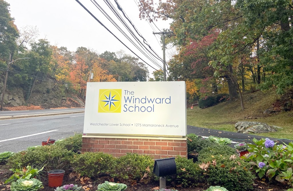 The Windward School - Westchester Lower School | 1275 Mamaroneck Ave, White Plains, NY 10605 | Phone: (914) 949-6968